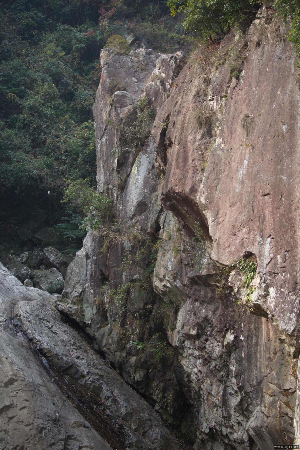 125A8012_调整大小.jpg