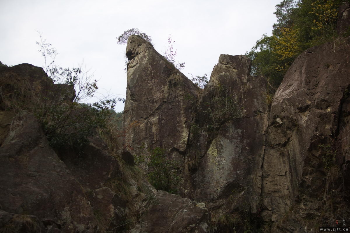 125A8013_调整大小.jpg