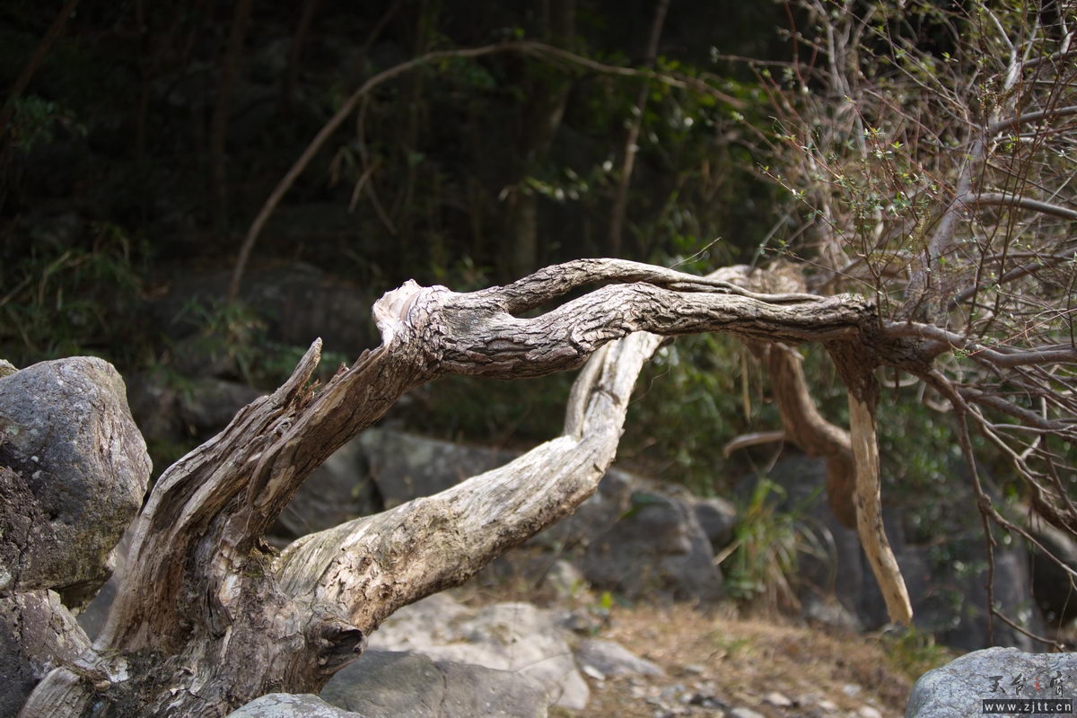 125A8054_调整大小.jpg