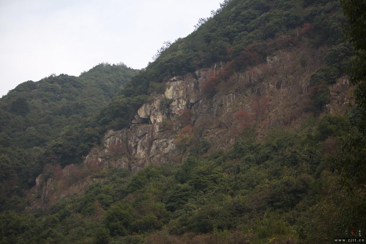 125A8062_调整大小.jpg