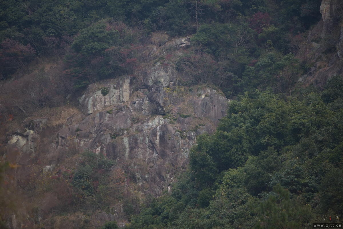 125A8063_调整大小.jpg