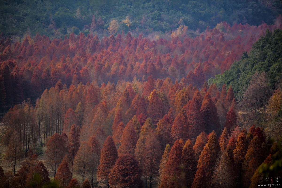 125A8358_调整大小.jpg