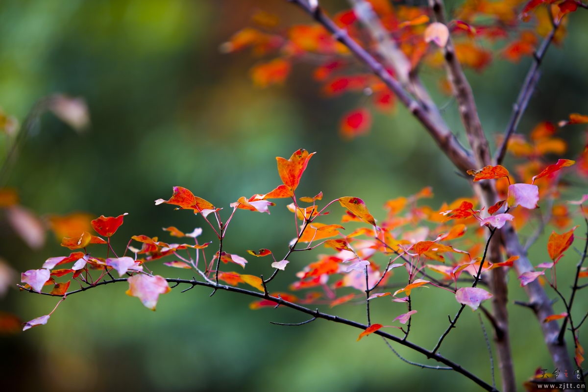 125A8034_调整大小.jpg