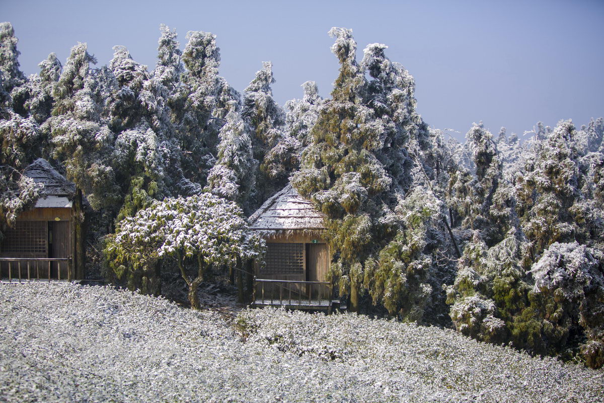 125A8692_调整大小.jpg