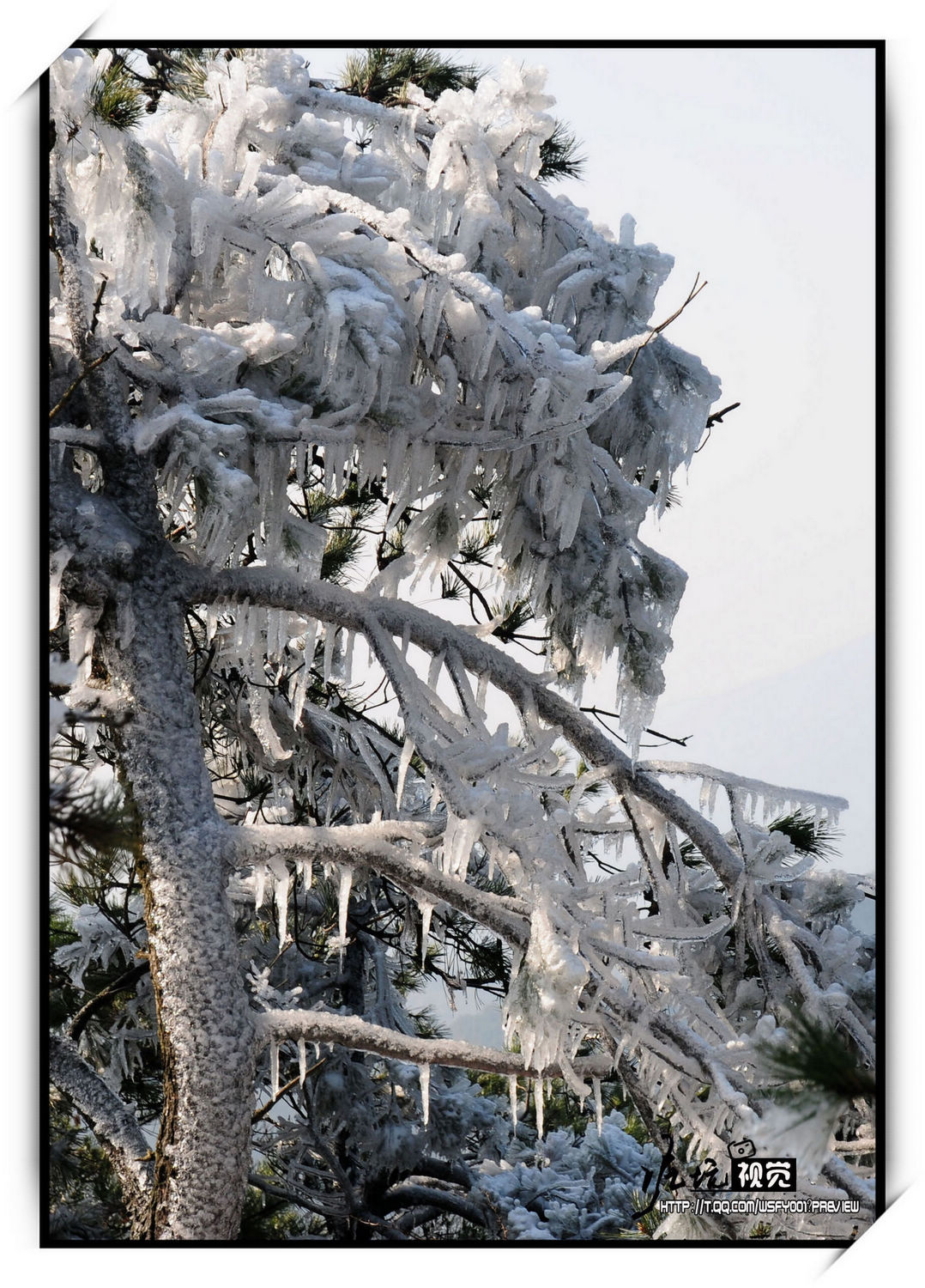 DSC_7118.jpg