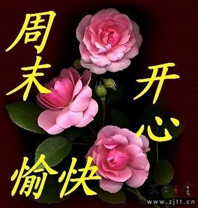 QQ图片20131228002846.jpg