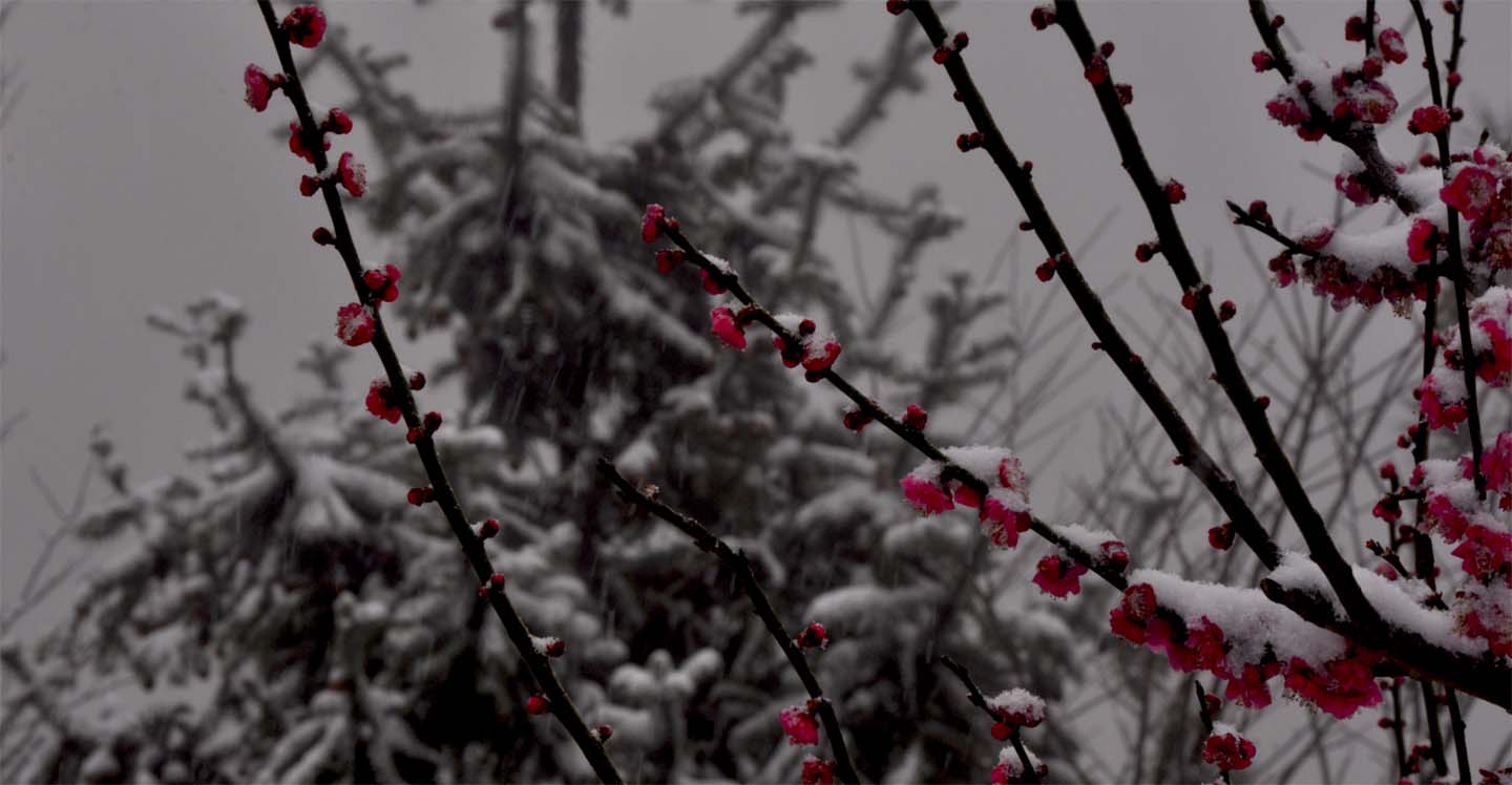 DSC_0263.JPG