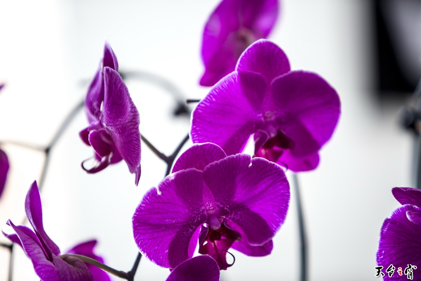 125a1163_调整大小.jpg