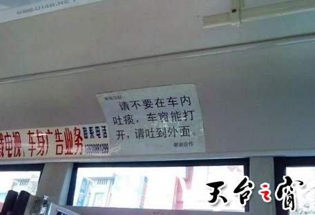 p4537521a18771112.jpg