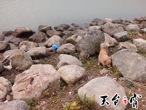 IMG_20140325_103309.jpg