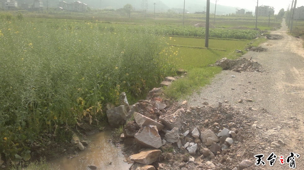 20140405445_调整大小.jpg
