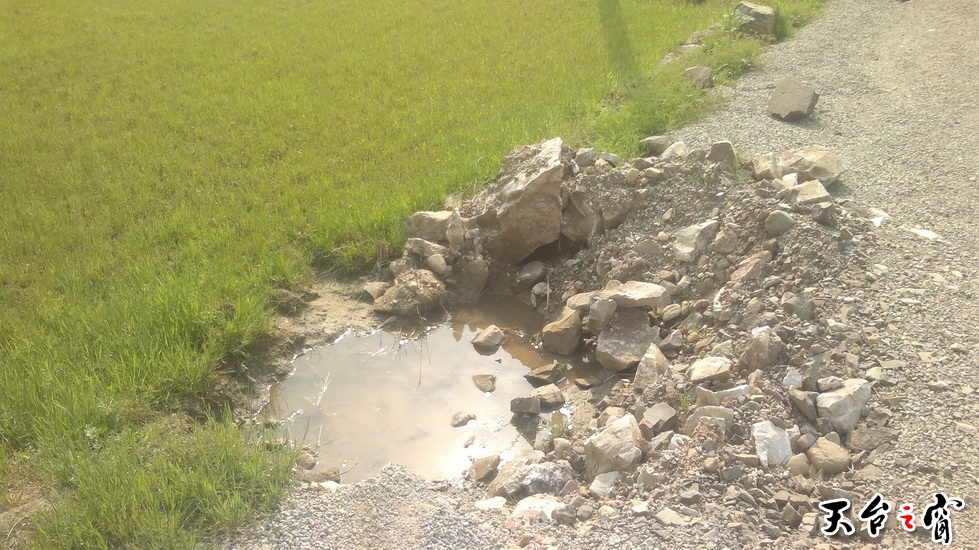 20140405446_调整大小.jpg