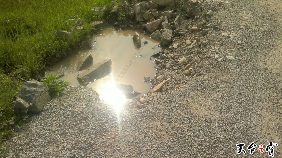 20140405447_调整大小.jpg