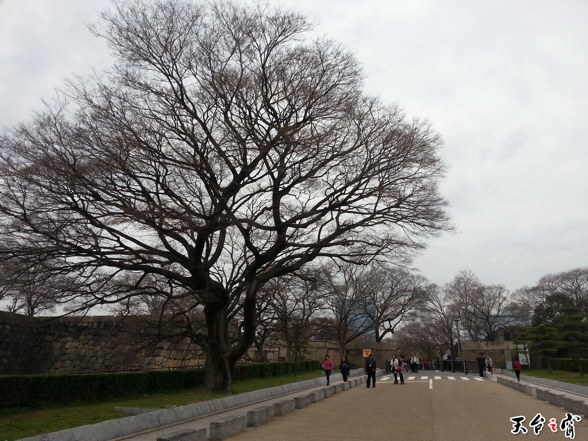 20140329_085823_调整大小.jpg