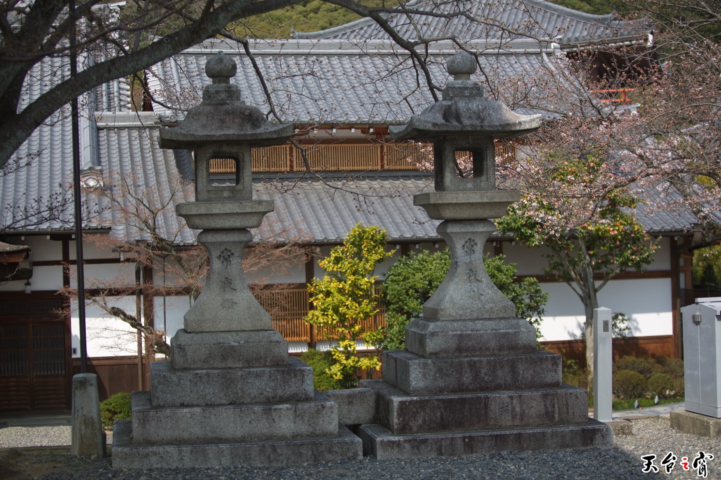 125A2043.jpg