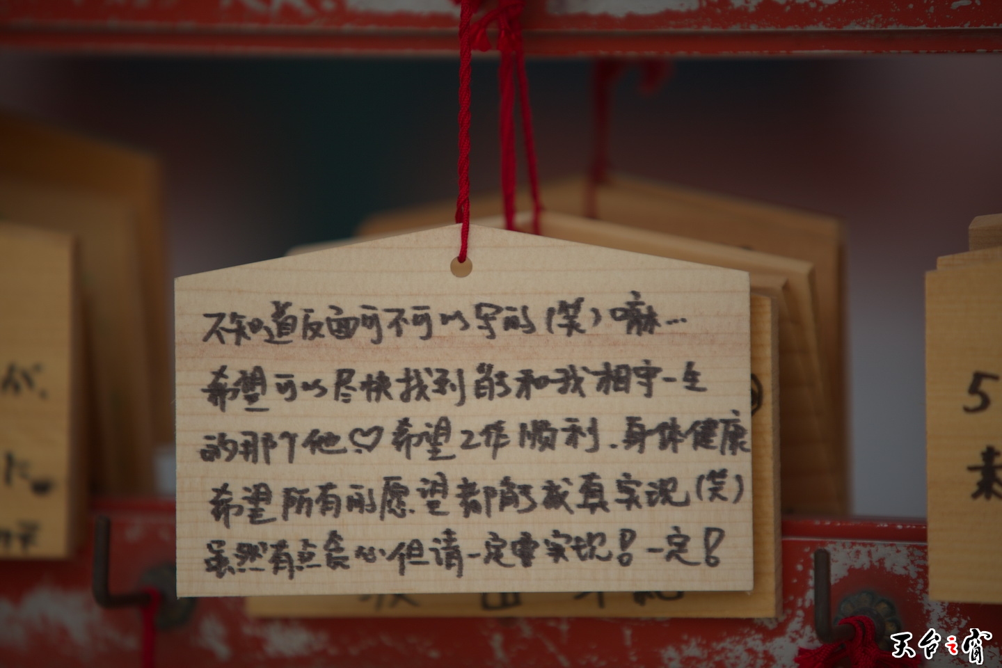 125A2273.jpg