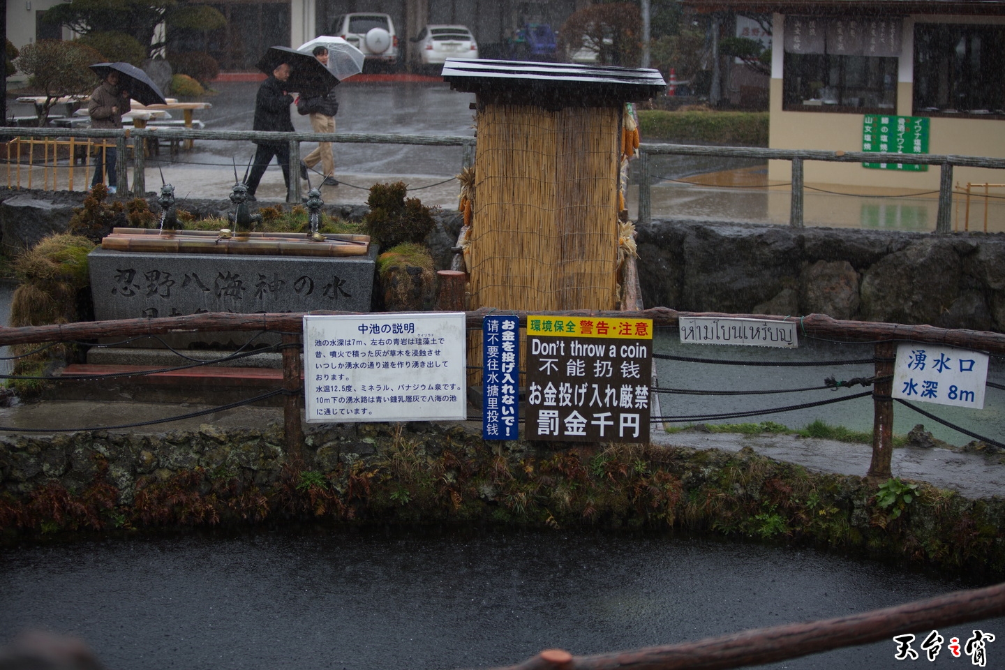 125A2314.jpg