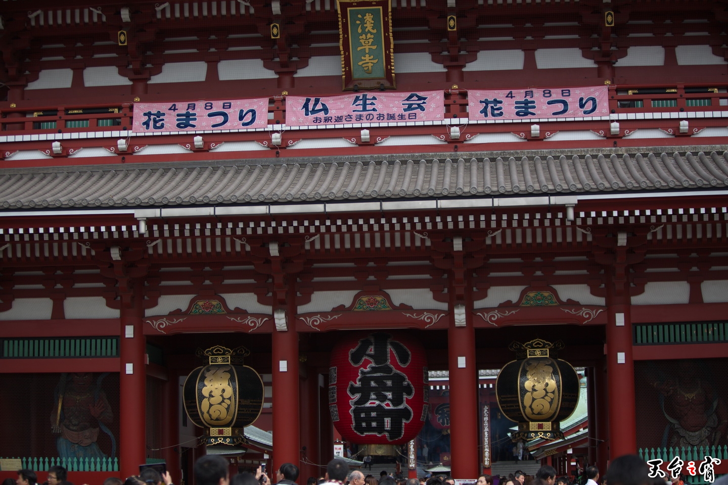 125A2973.jpg