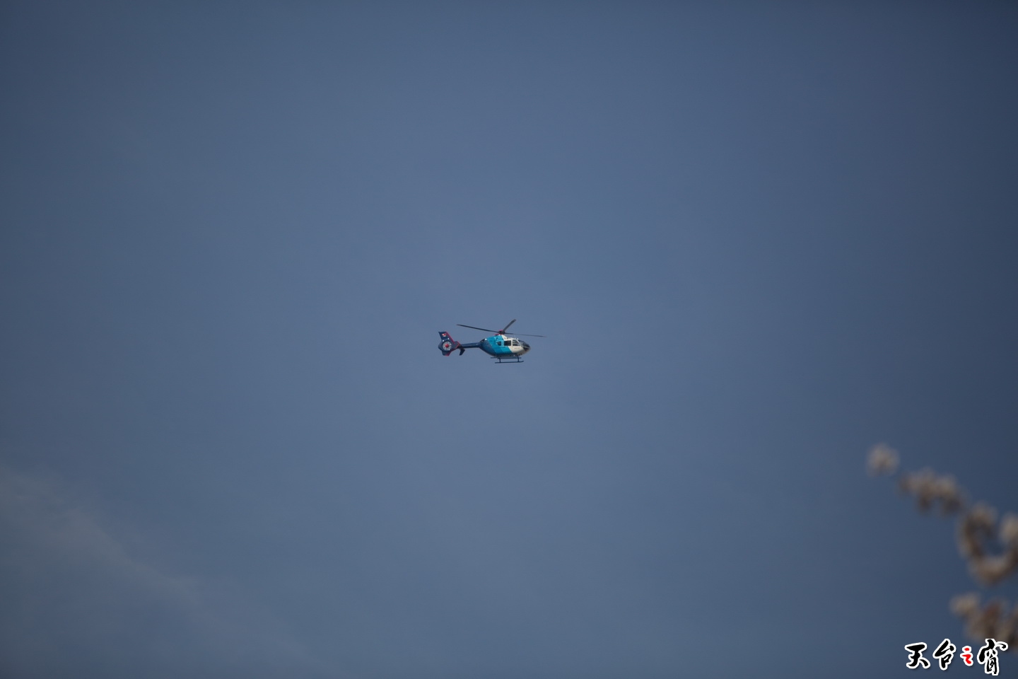 125A3021.jpg