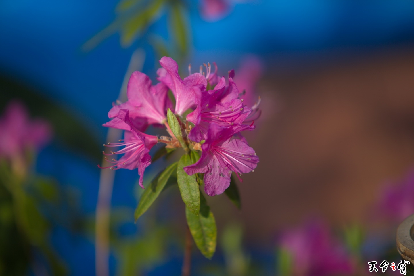 125A3027.jpg