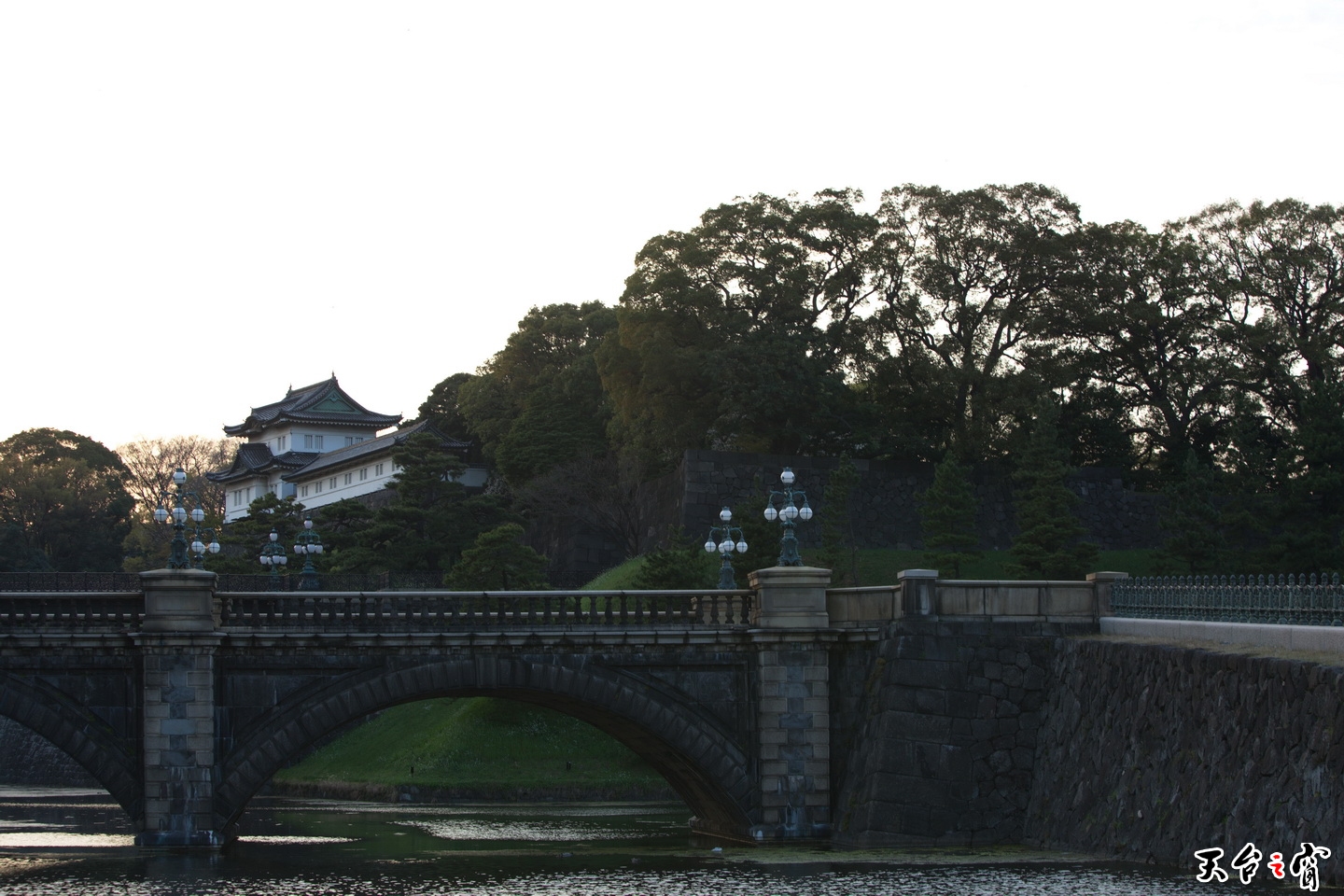 125A3073.jpg