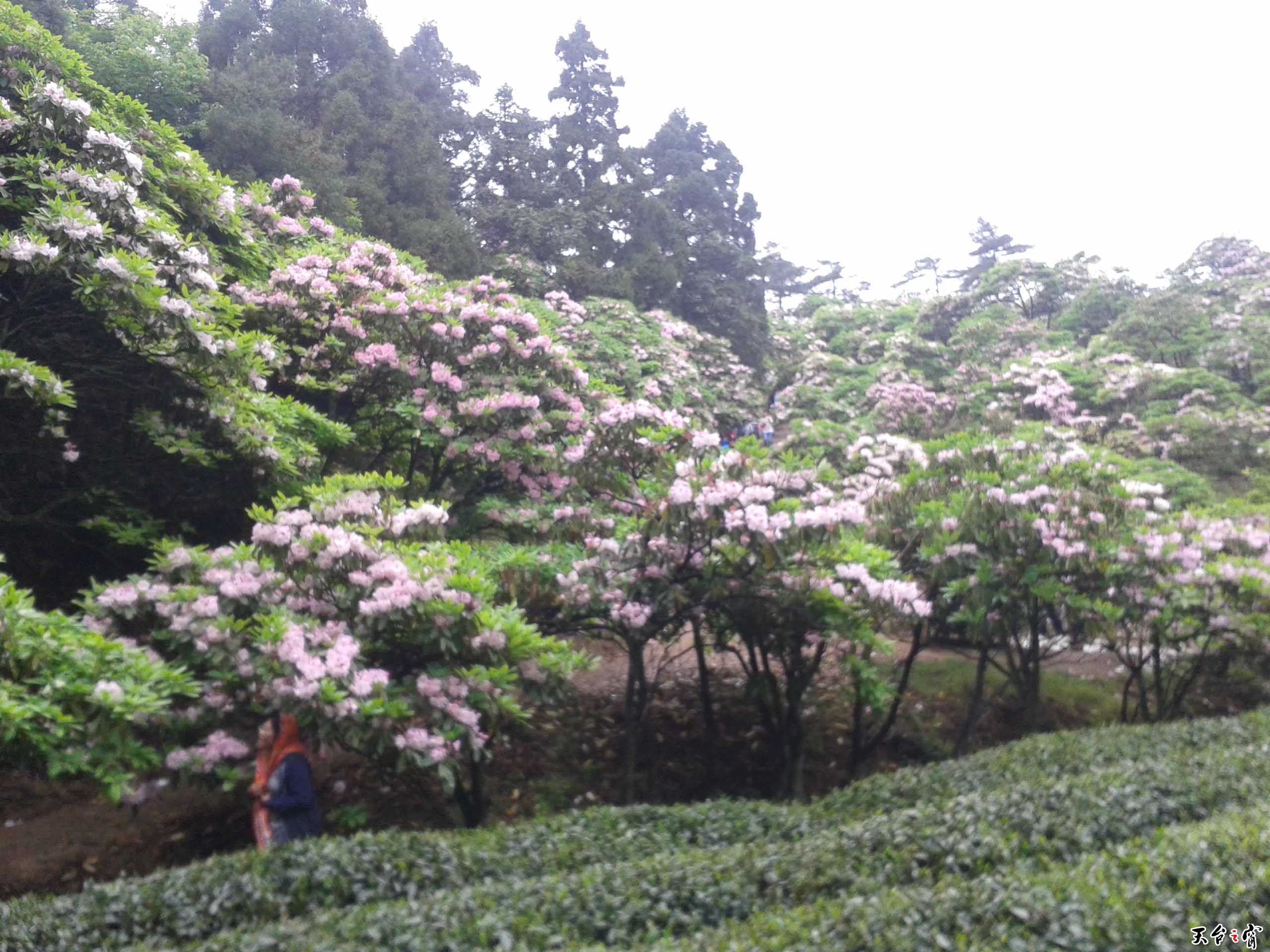 20140511_095747.jpg