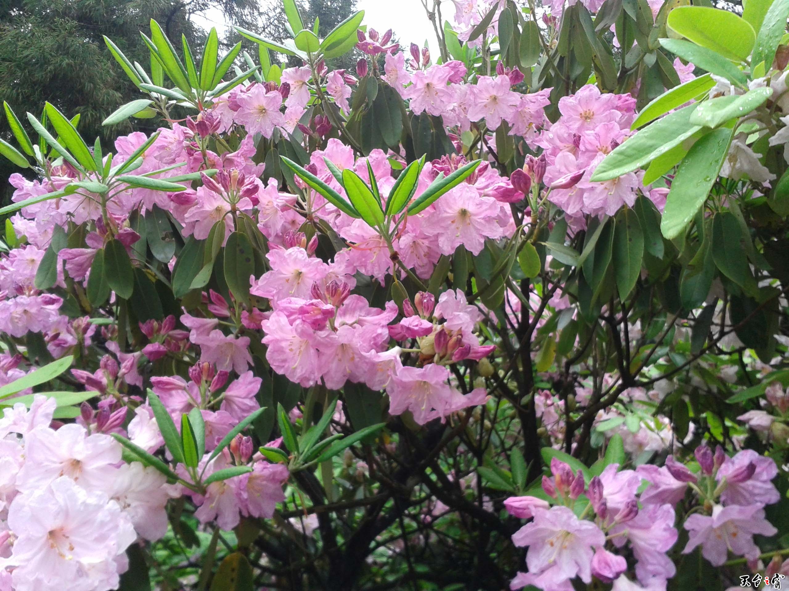 20140511_101029.jpg