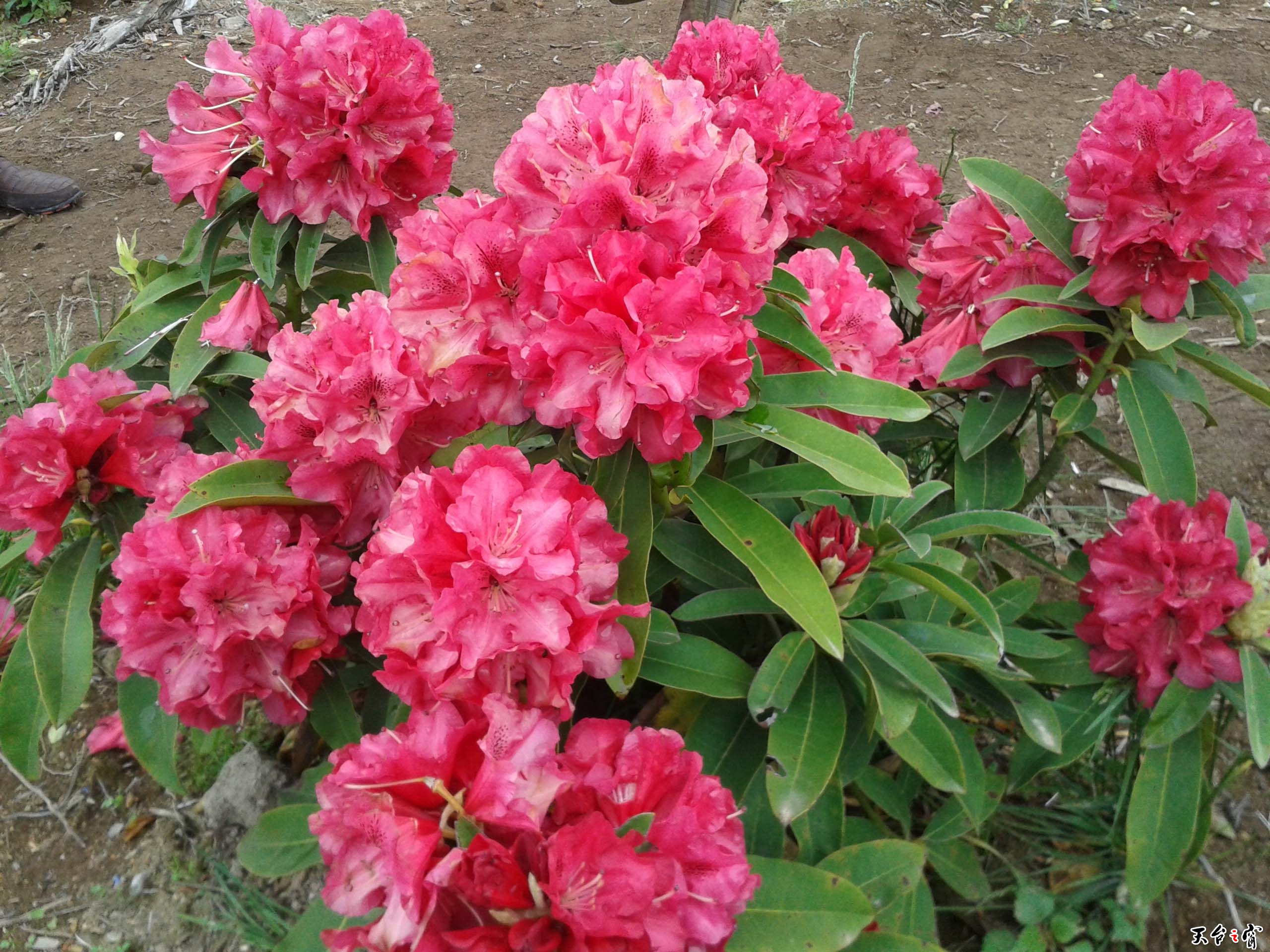 20140511_112916.jpg