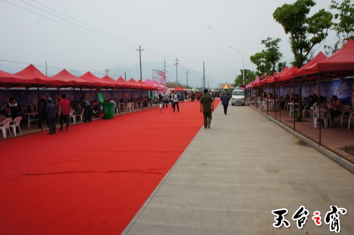 DSC00684_调整大小.JPG