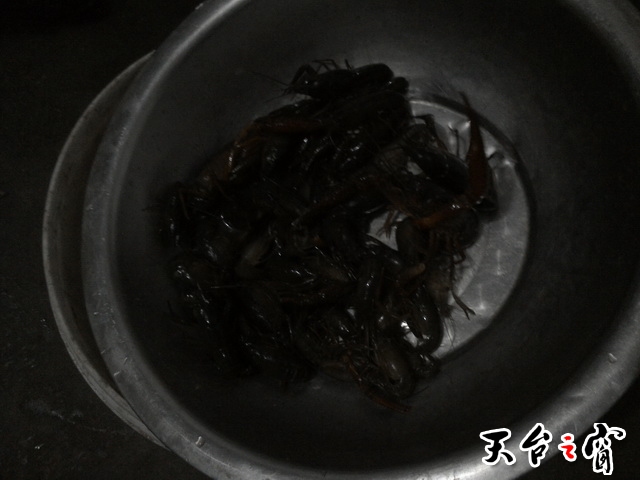PIC_20140518_190642_67B_调整大小.jpg