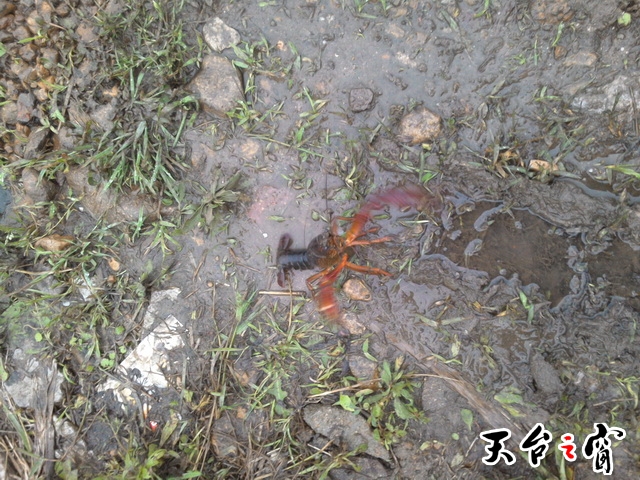 PIC_20140518_180111_66A_调整大小.jpg