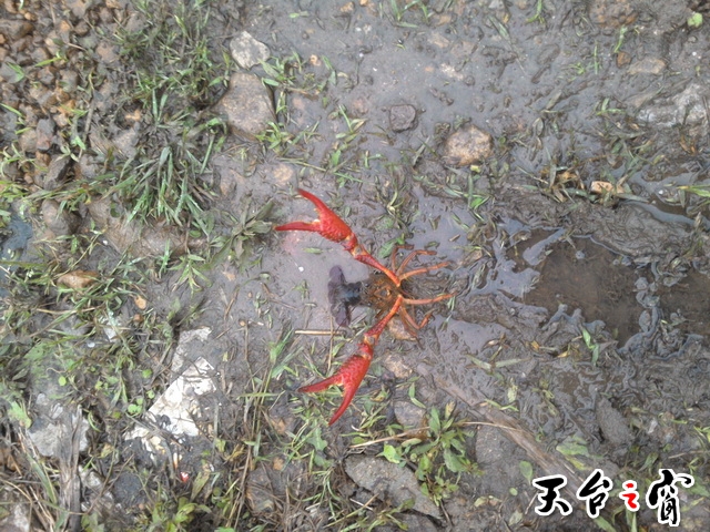 PIC_20140518_180109_855_调整大小.jpg