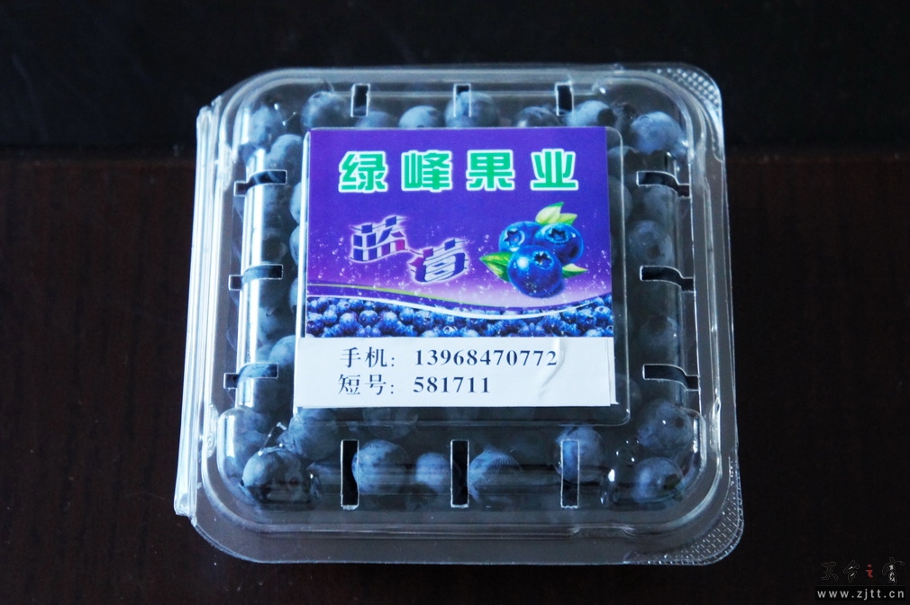 DSC01195_调整大小.JPG