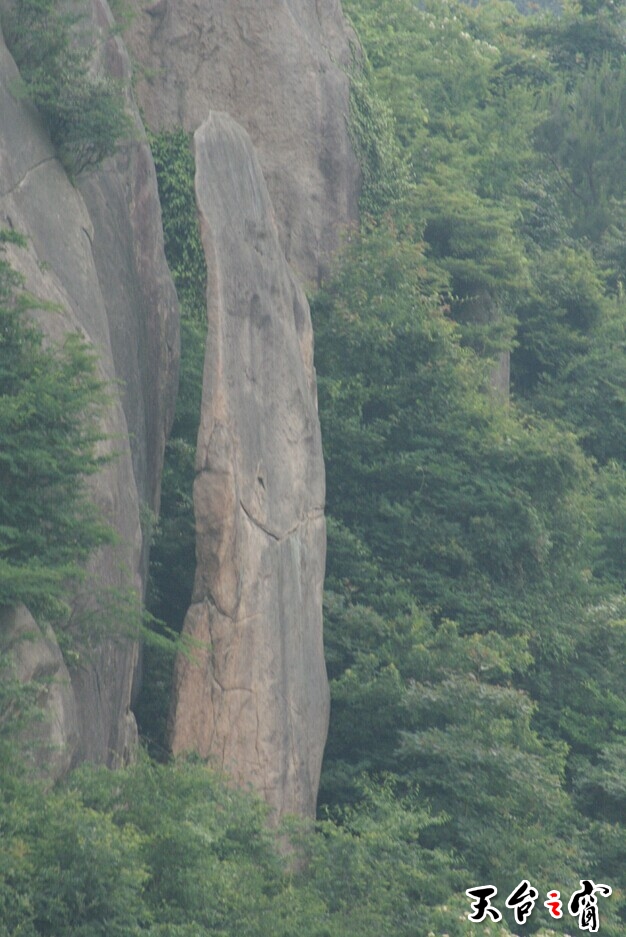 QQ图片20140625094153.jpg