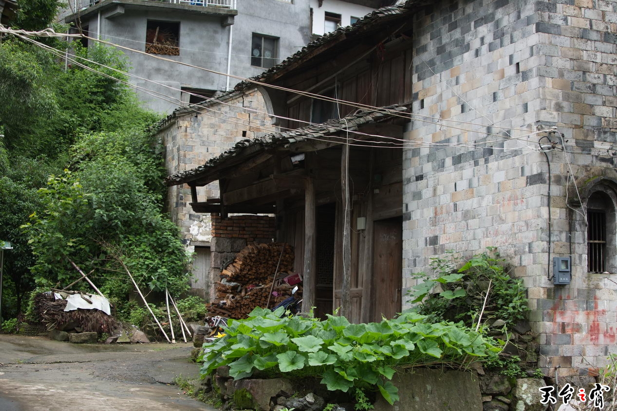 125A4621_调整大小.jpg