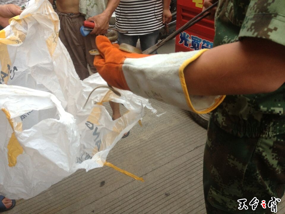QQ图片20140713153759.jpg