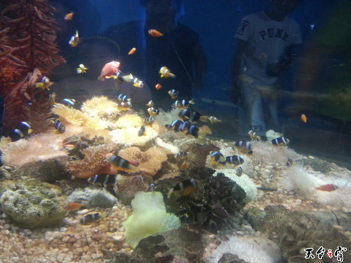 20140814_094934_调整大小.jpg