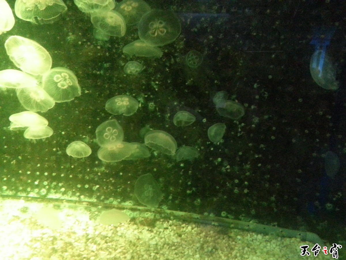 20140814_095040_调整大小.jpg