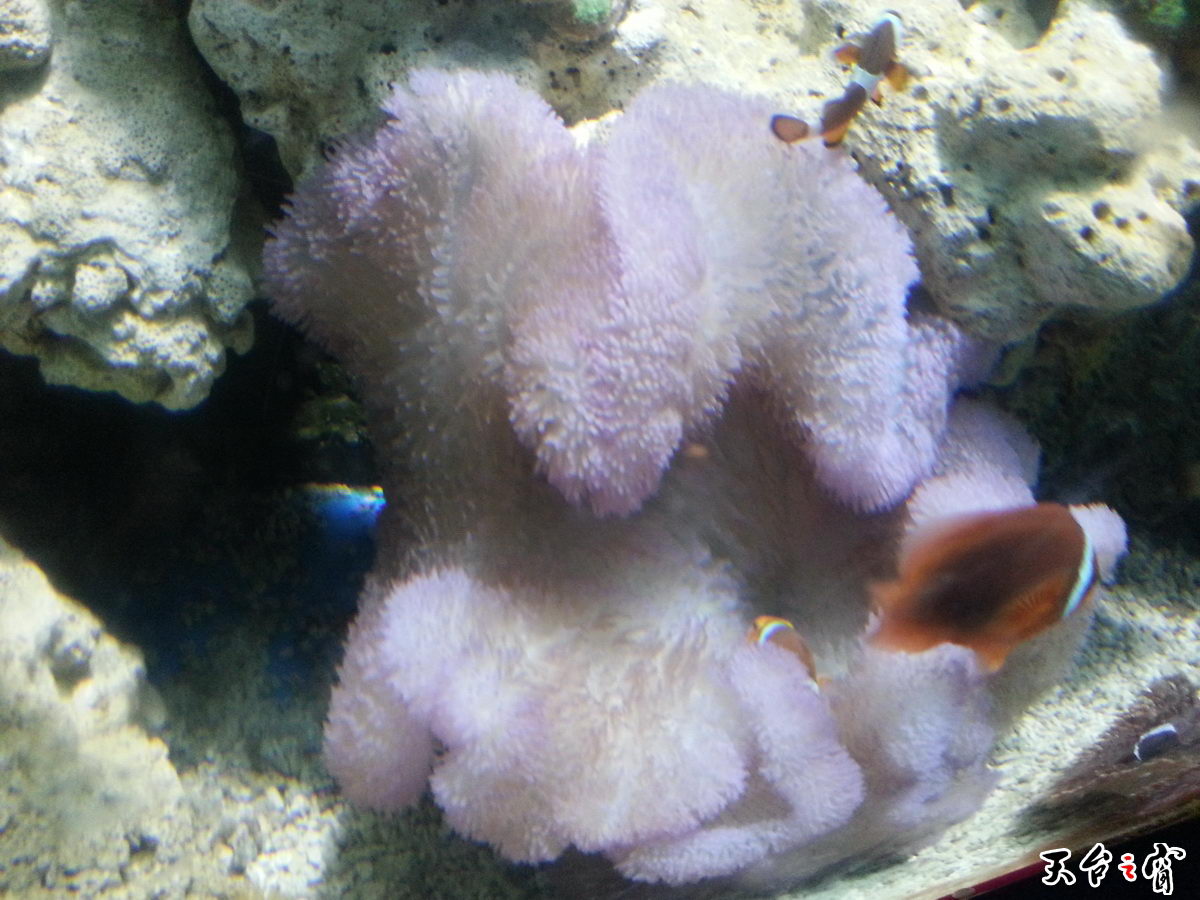 20140814_135130_调整大小.jpg