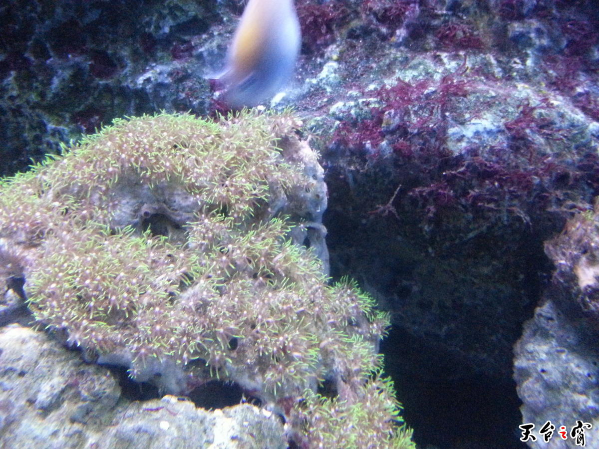 20140814_135202_调整大小.jpg