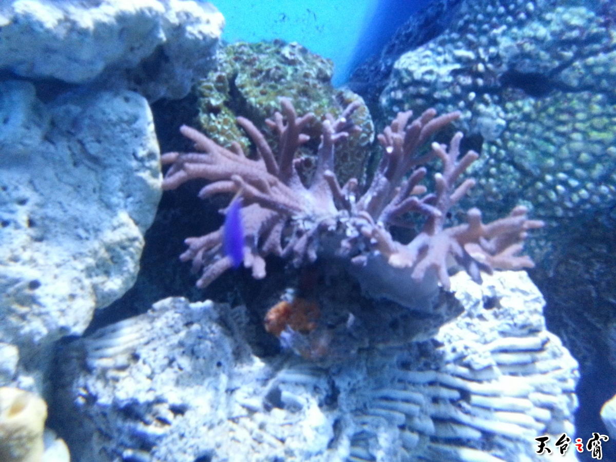 20140814_135310_调整大小.jpg