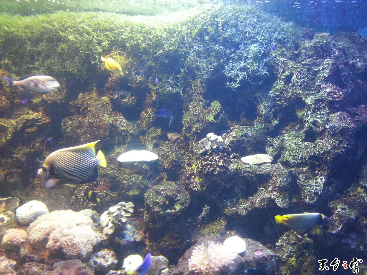20140814_135406_调整大小.jpg