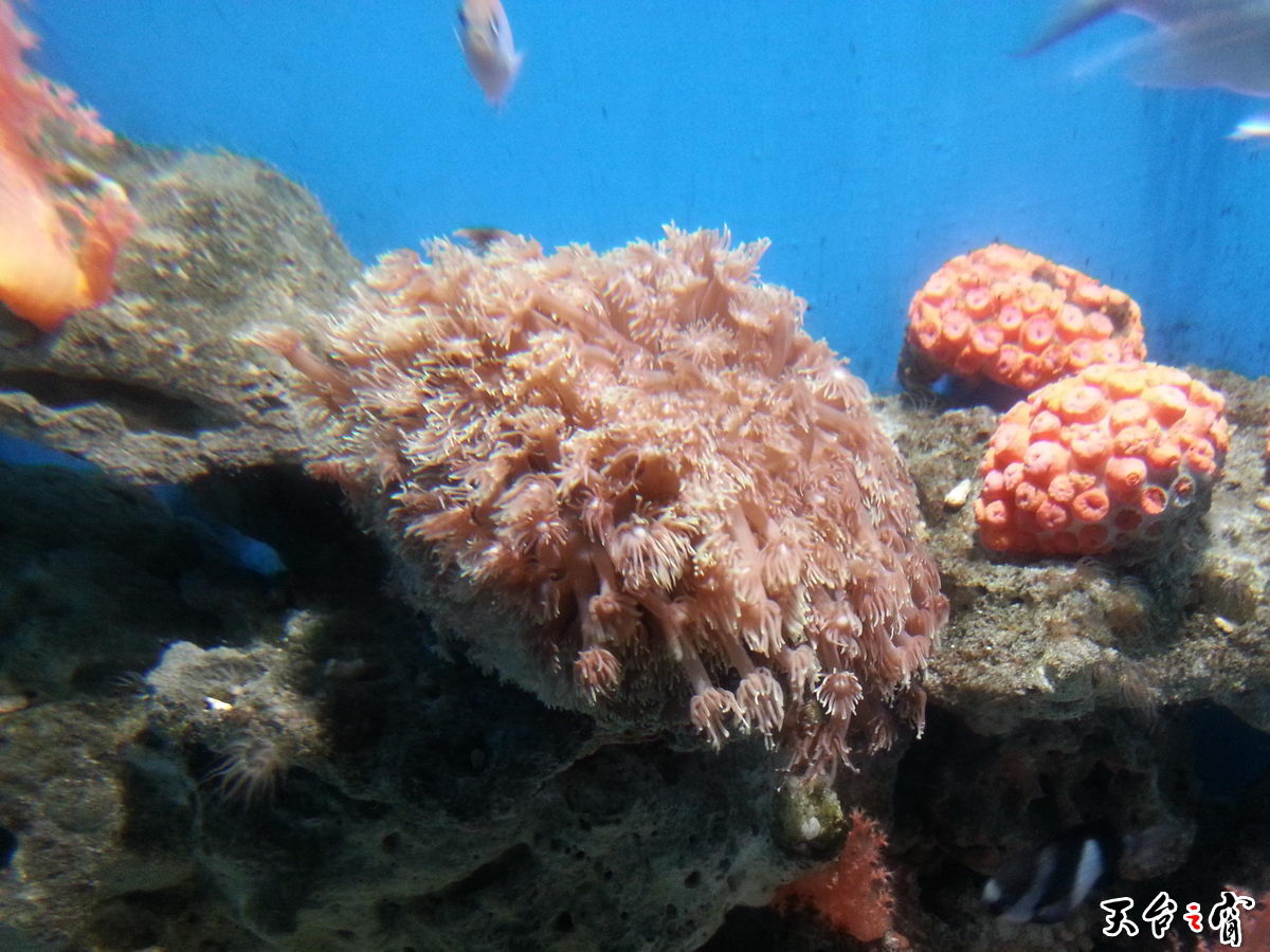 20140814_140211_调整大小.jpg