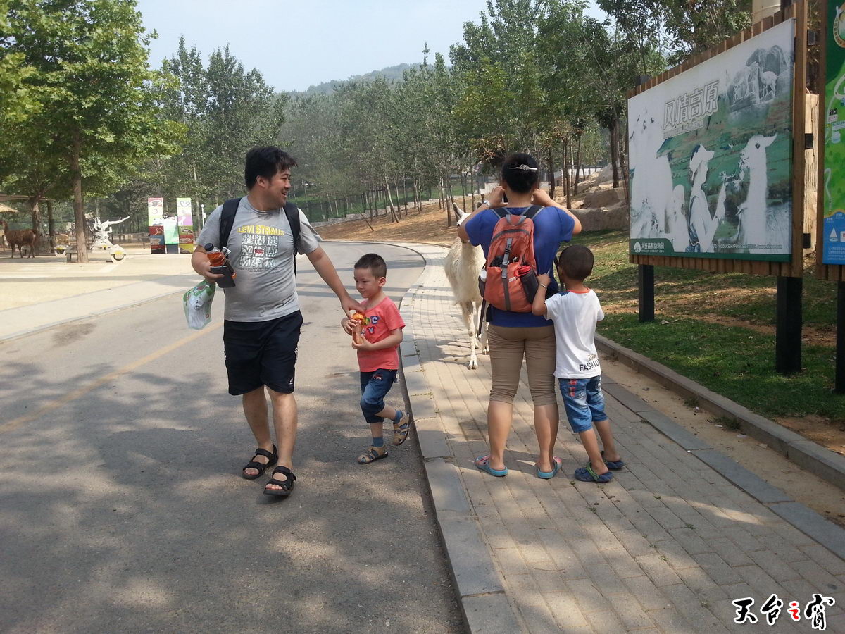 20140815_091545_调整大小.jpg