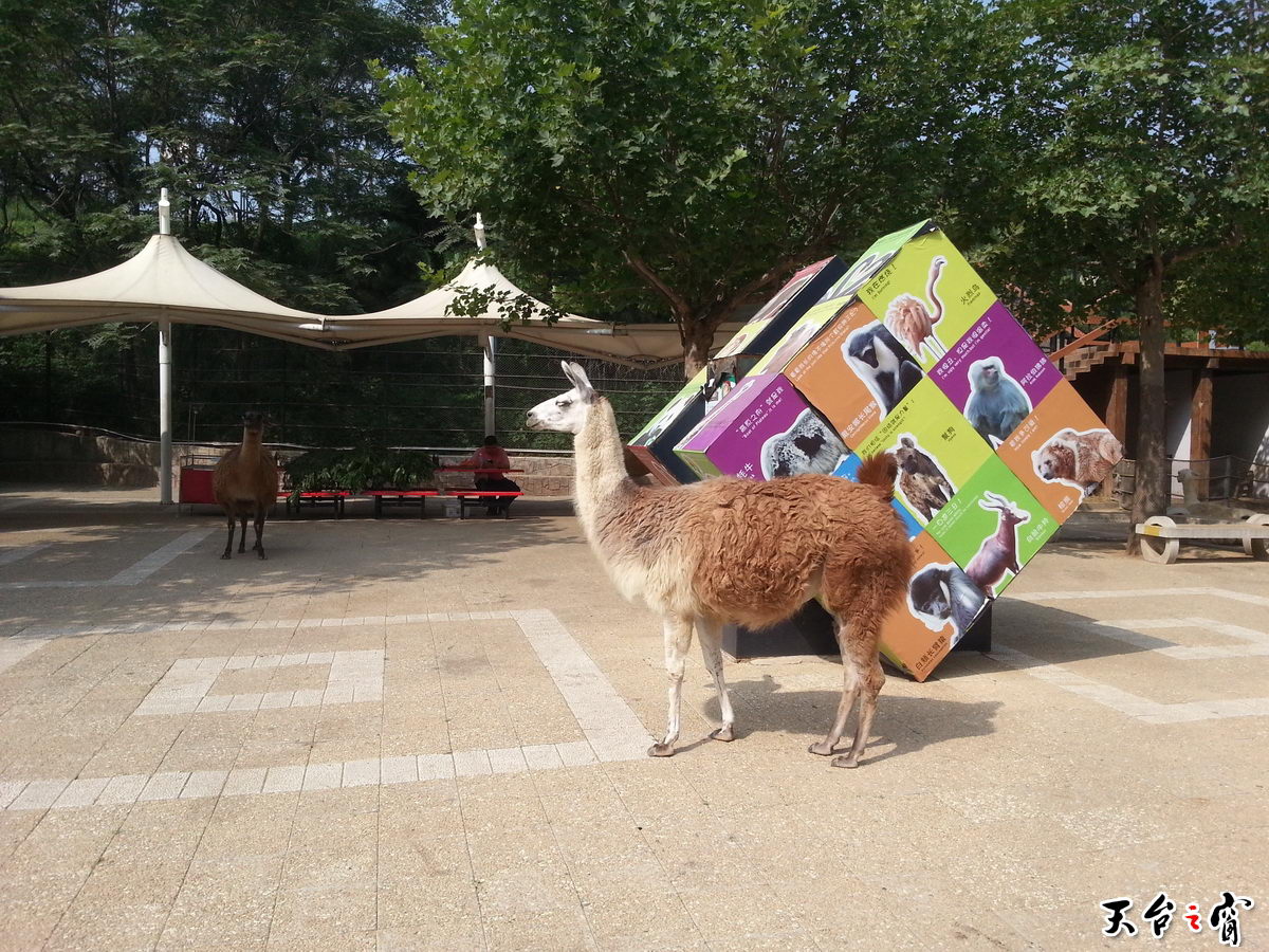 20140815_091632_调整大小.jpg