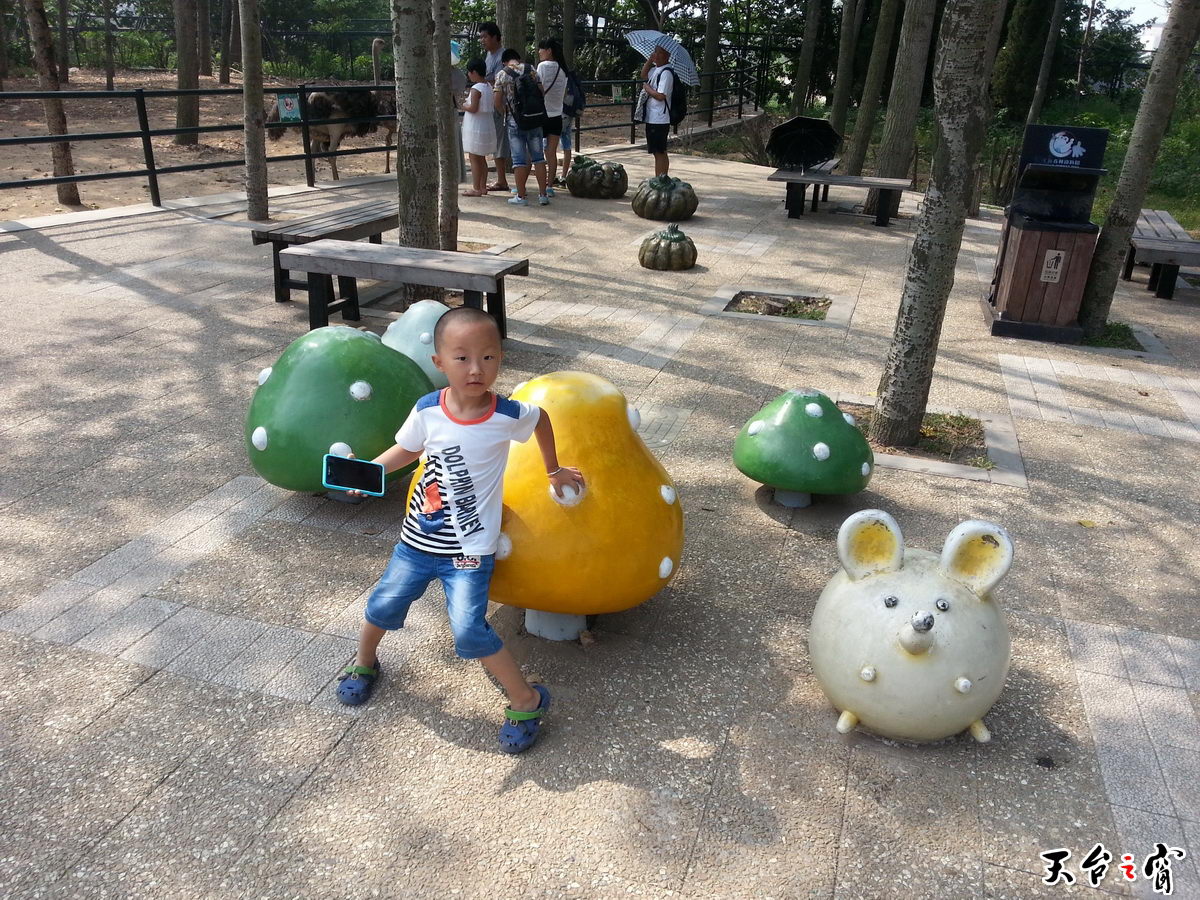 20140815_093036(0)_调整大小.jpg