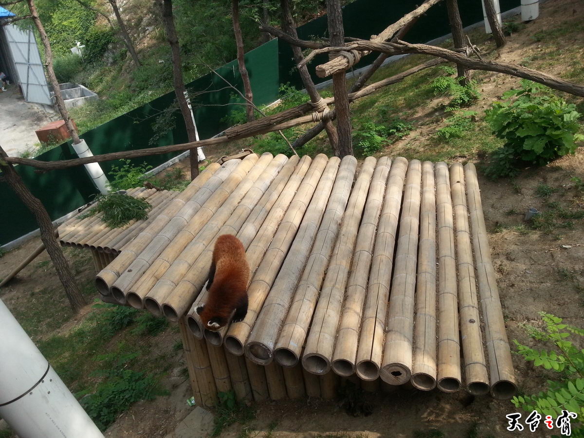 20140815_094736_调整大小.jpg