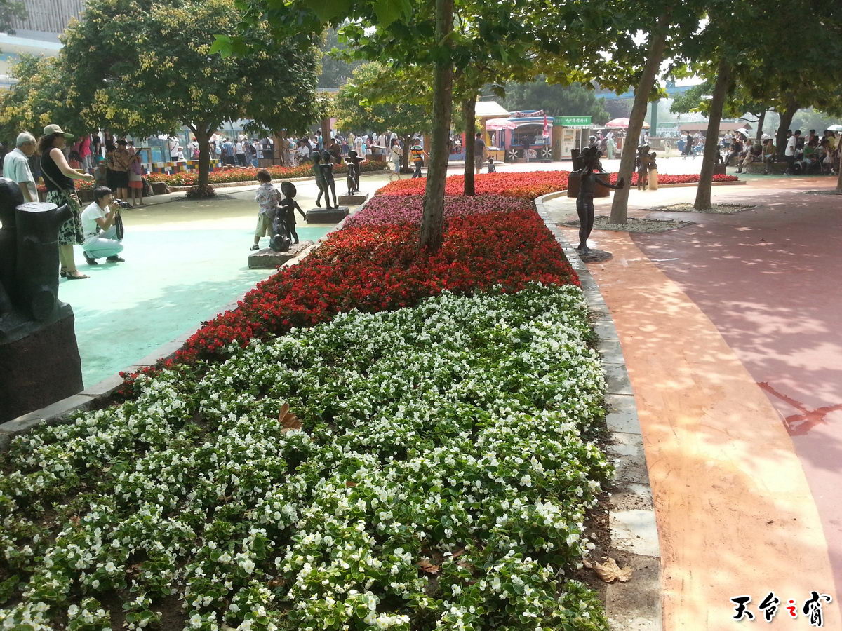 20140815_100352(0)_调整大小.jpg