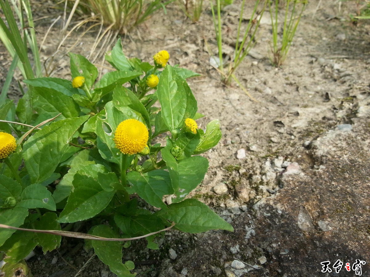 20140908_100624_调整大小.jpg