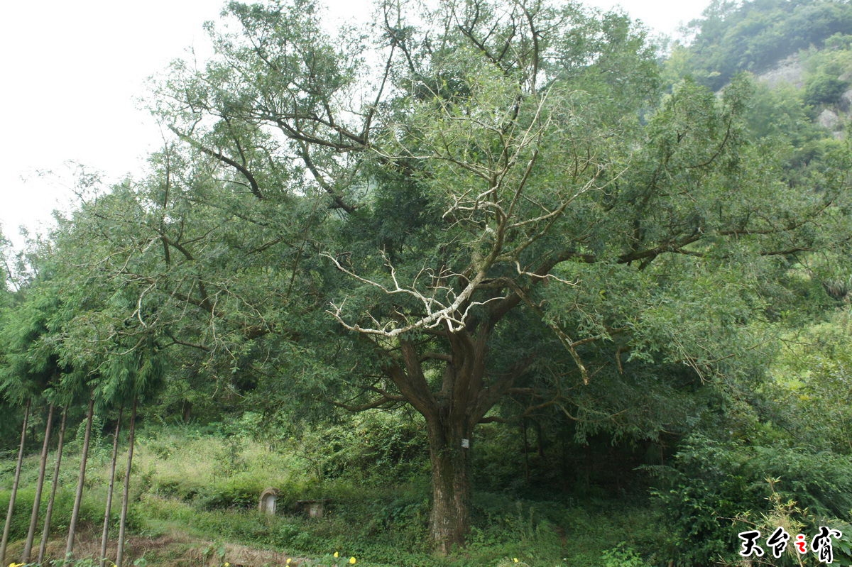 DSC01646_调整大小.JPG